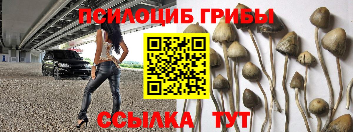 Галлюциногенные грибы Psilocybine cubensis  Вход с VPN  Михайловка 